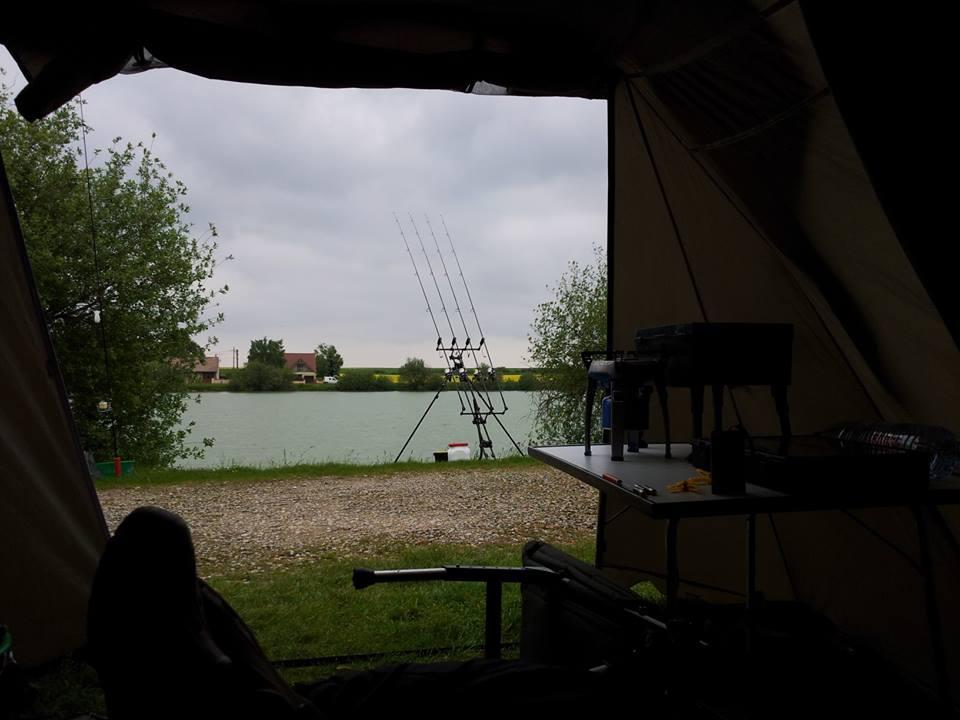 Crap de sete!!! :)  - 970471200074993475792496493853n.jpg